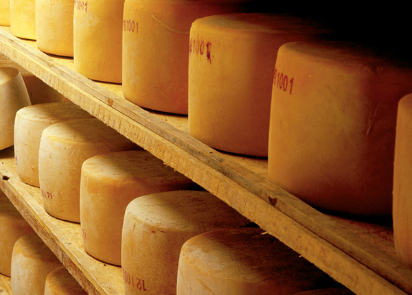 La lechería en Uruguay